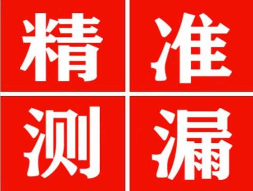 天长尚嘉漏水精准查找