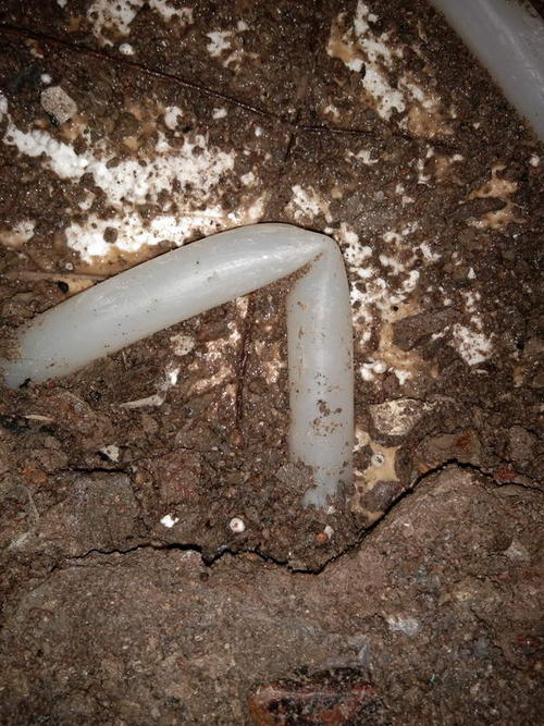 天长堵点精准查找